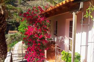 Finca "El Anden"