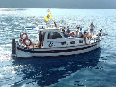 The whale watching boat Pura Vida on La Gomera