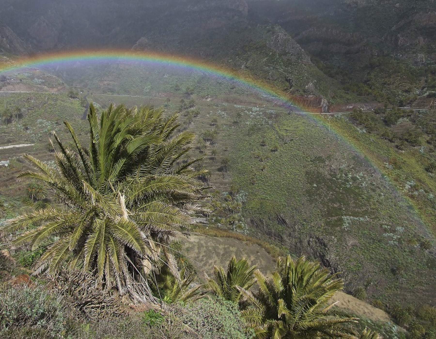 Rauhes Klima auf La Gomera