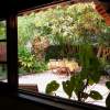 Blick in den Garten