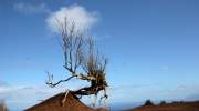 abgelegene-orte-la-gomera.JPG