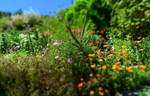 Enjoy the island La Gomera