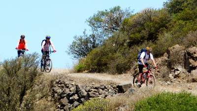 Mountain bike tour in La Gomera