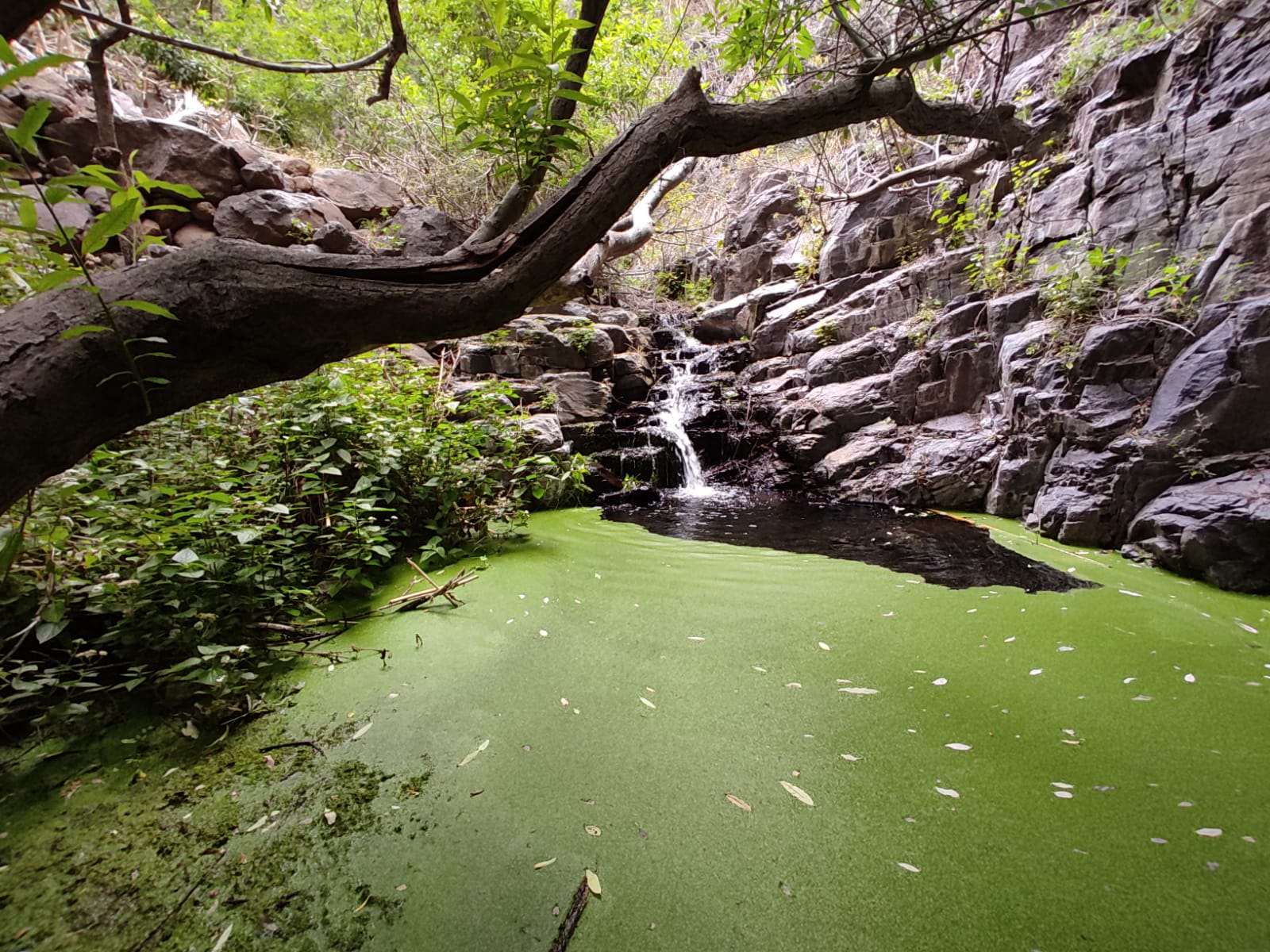 der-wasserfall-bei-el-guro-der-weg.jpg